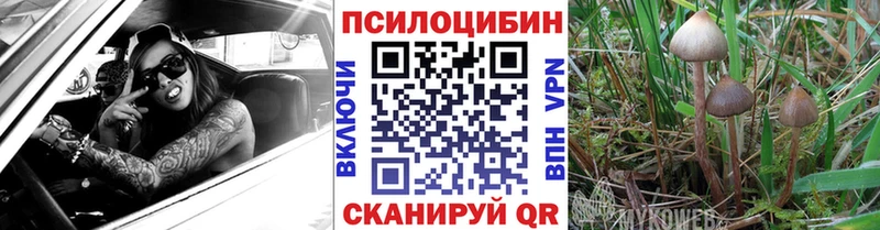 гидра как войти  Усинск  Псилоцибиновые грибы ЛСД 